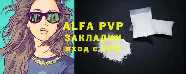 прущие грибы Кукмор
