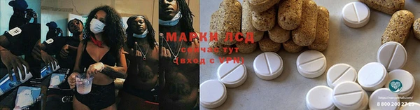 шишки Абинск