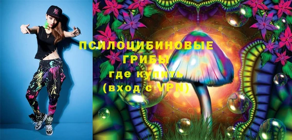 шишки Абинск