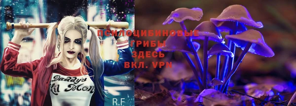 PSILOCYBIN Абдулино
